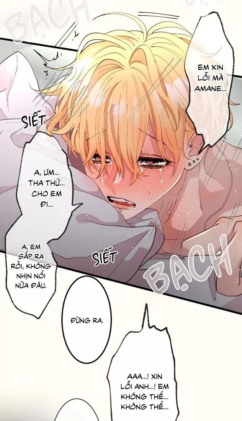 Trang 23