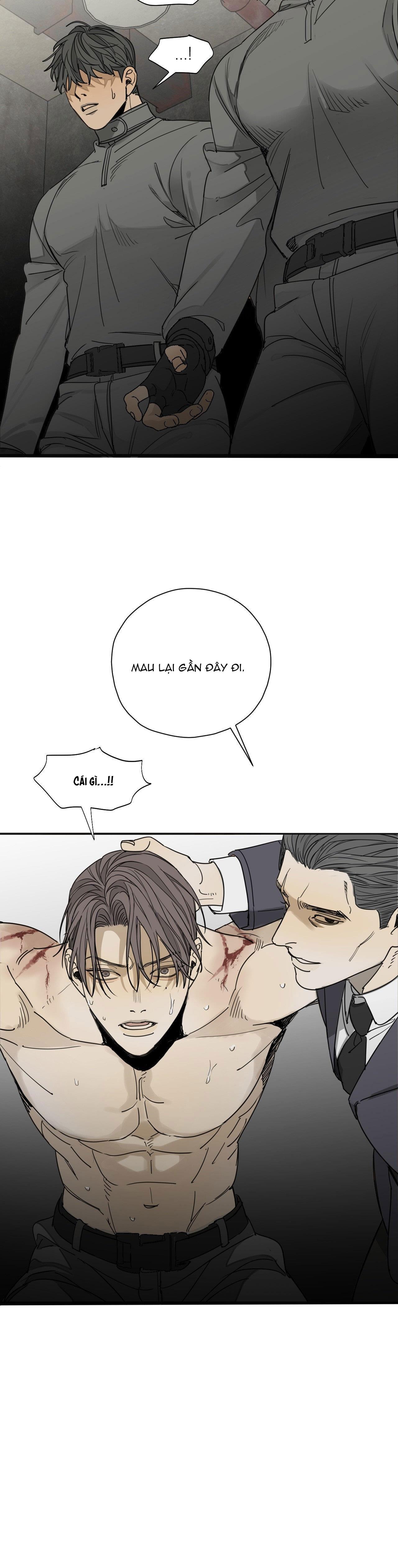 Trang 29