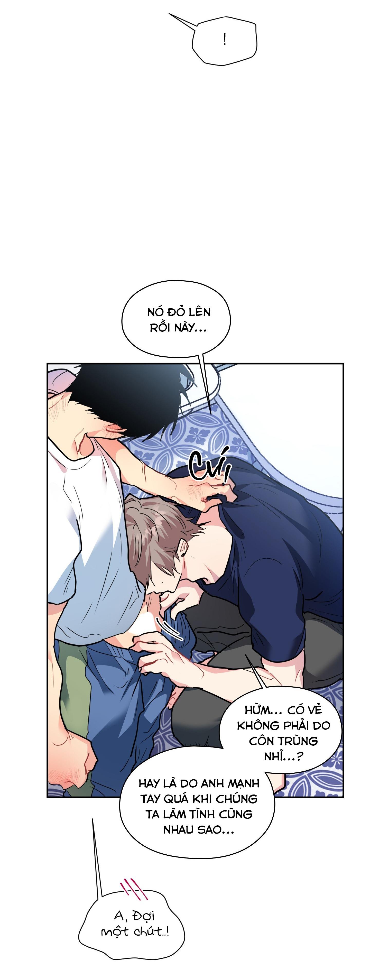 Trang 29