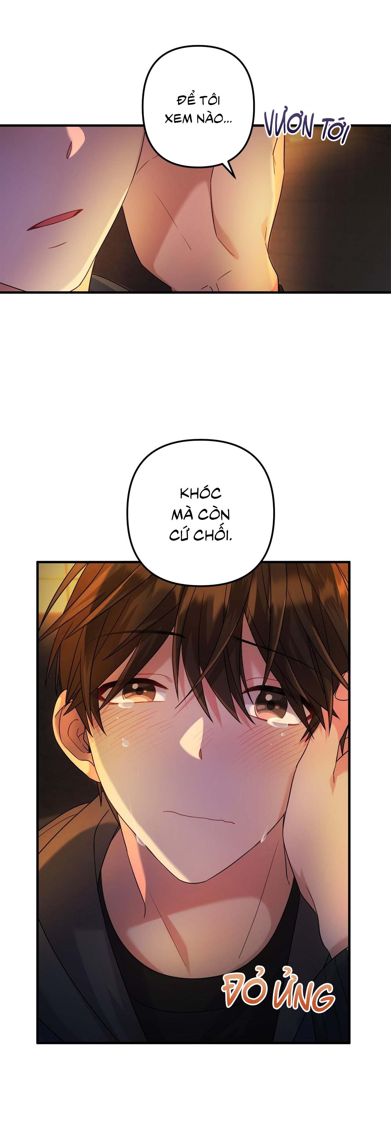 Trang 43