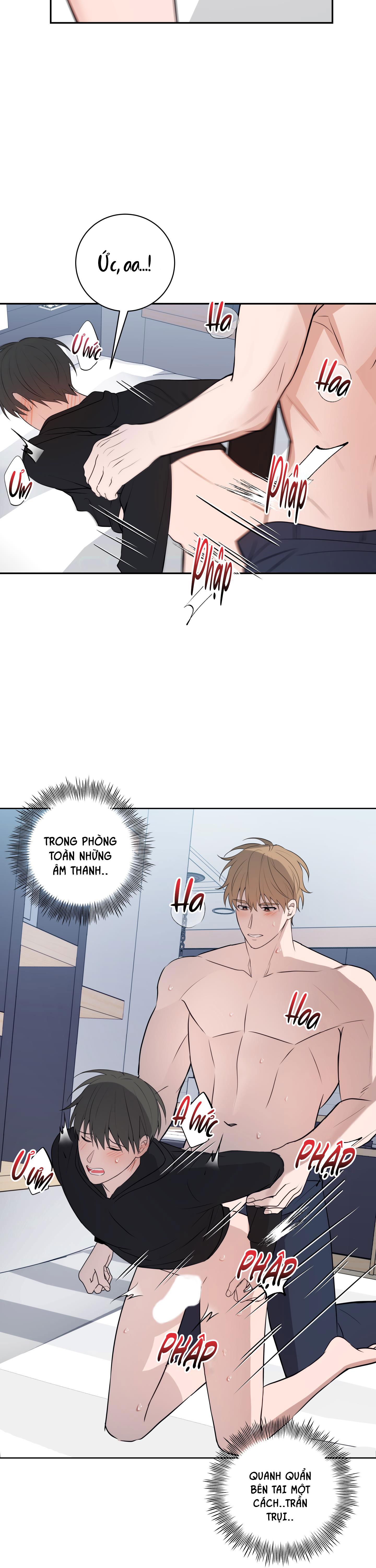 Trang 15