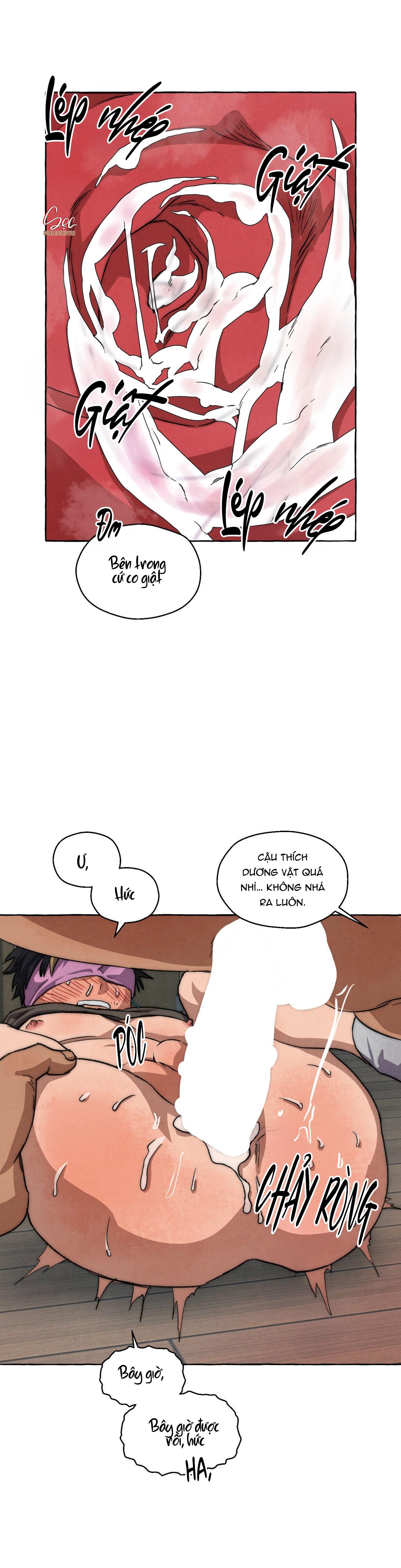 Trang 24