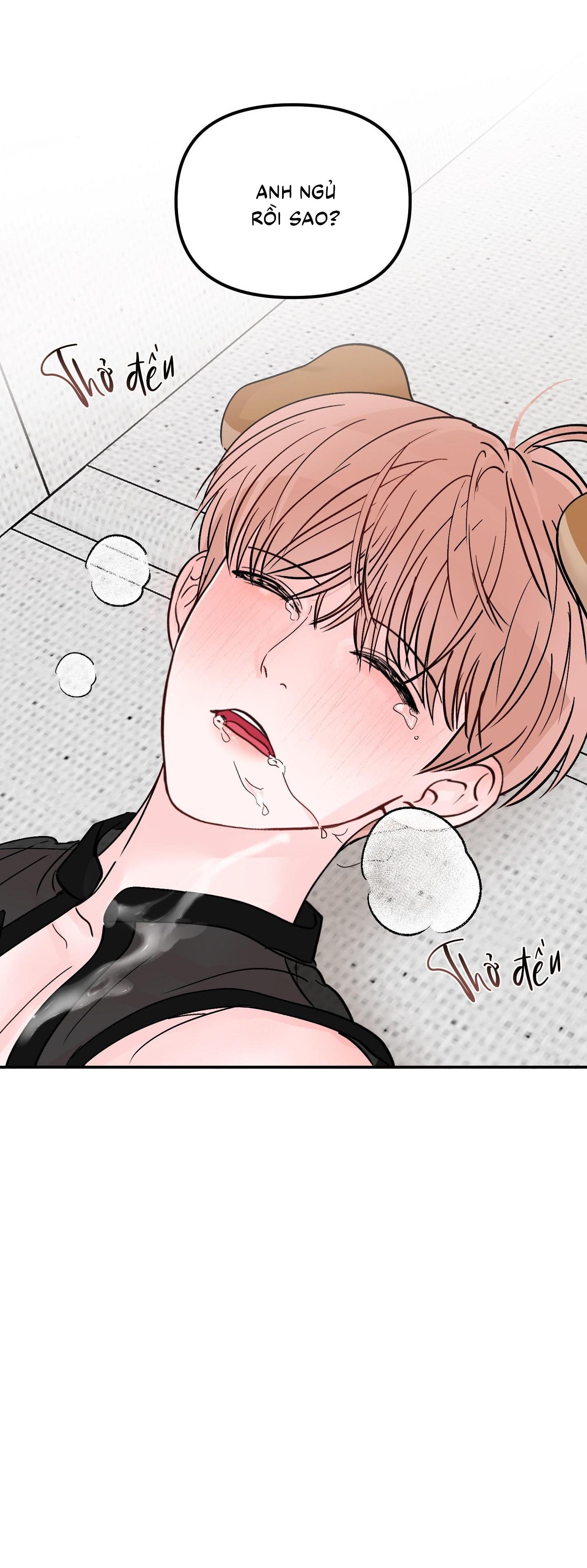 Trang 26