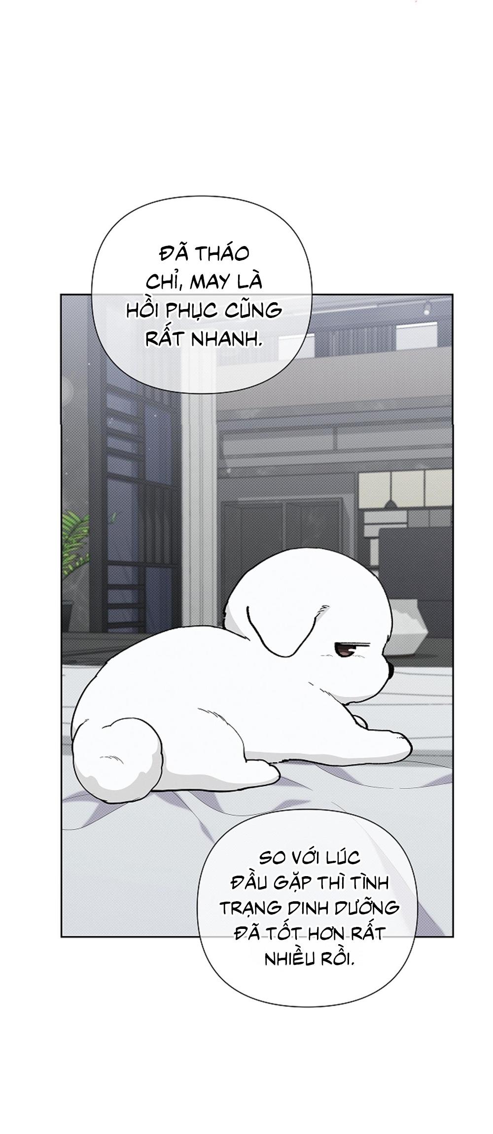 Trang 51