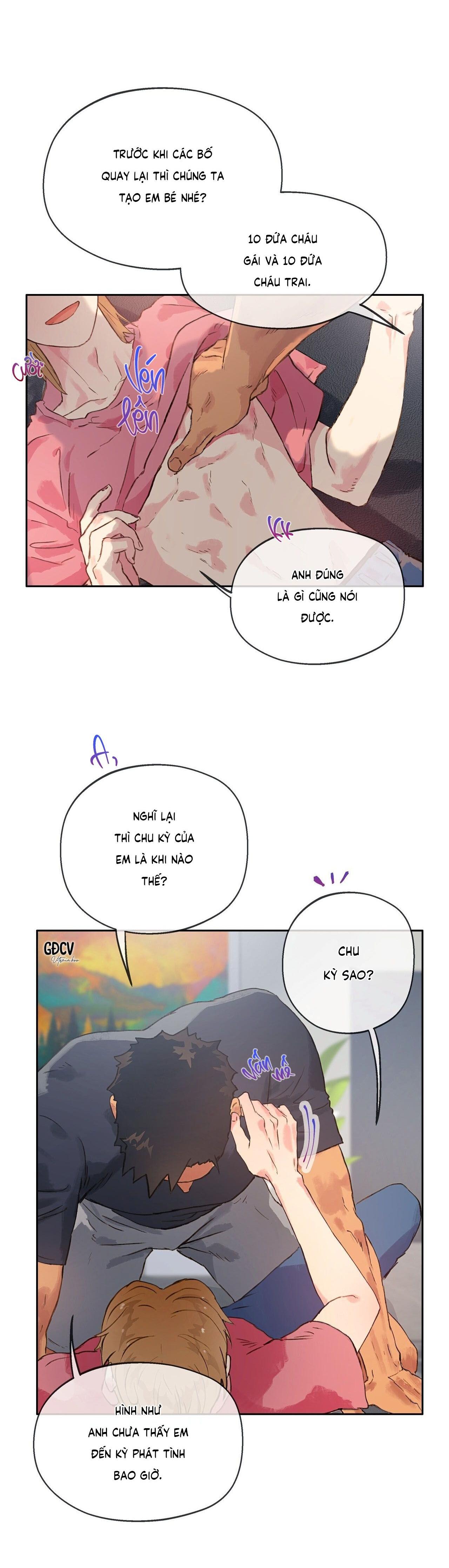 Trang 17
