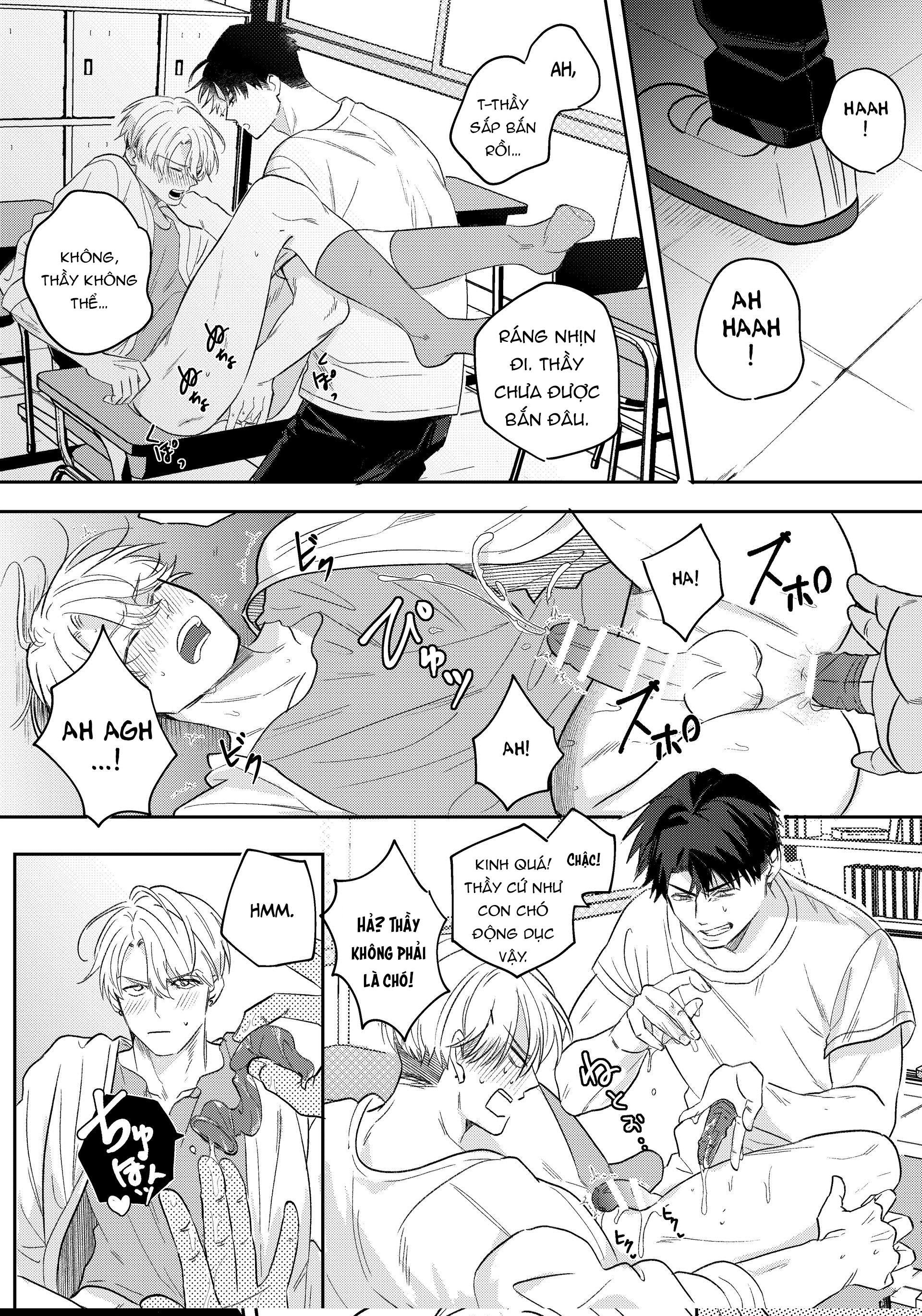 Trang 26