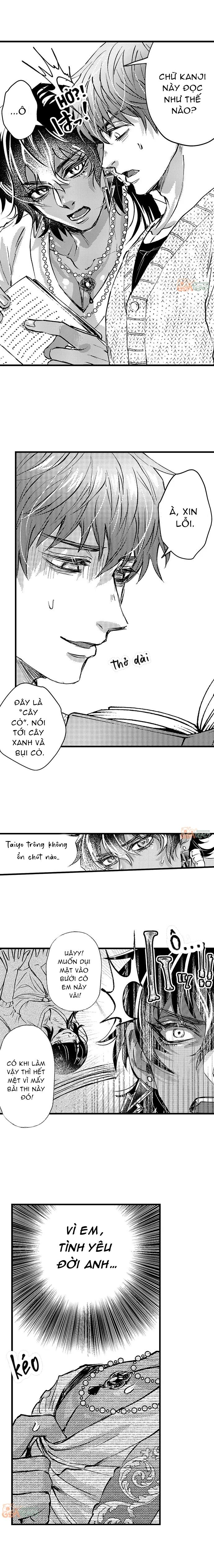 Trang 8