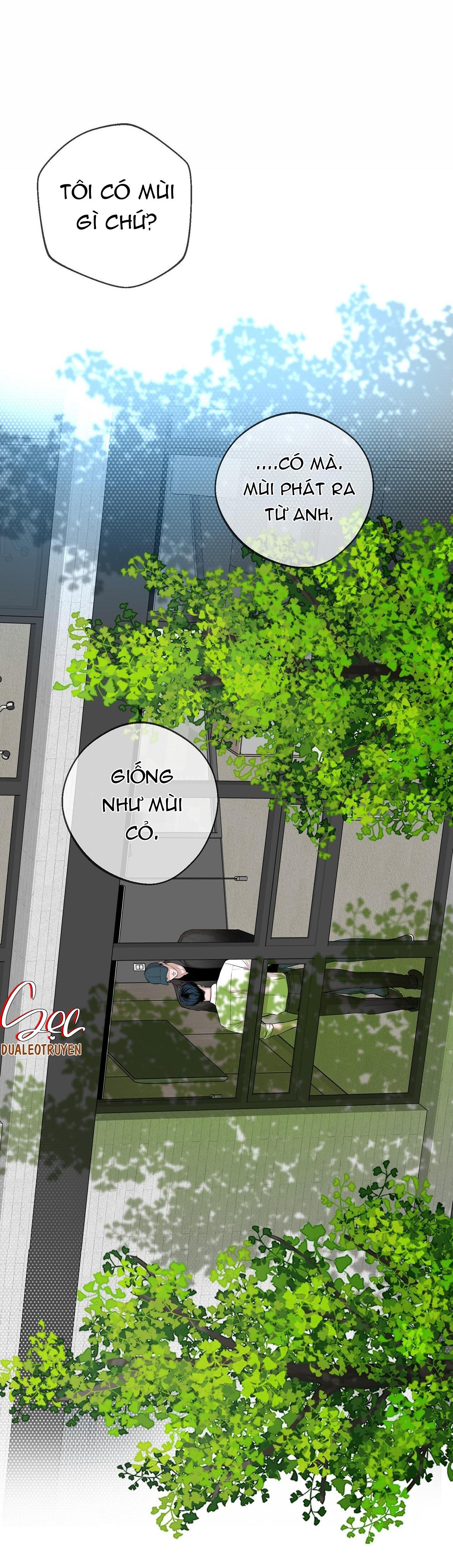 Trang 35