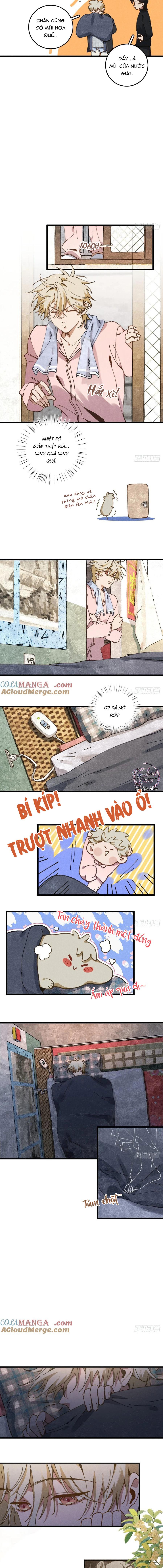 Trang 5