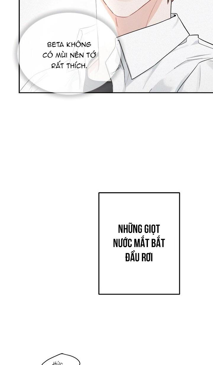 Trang 100