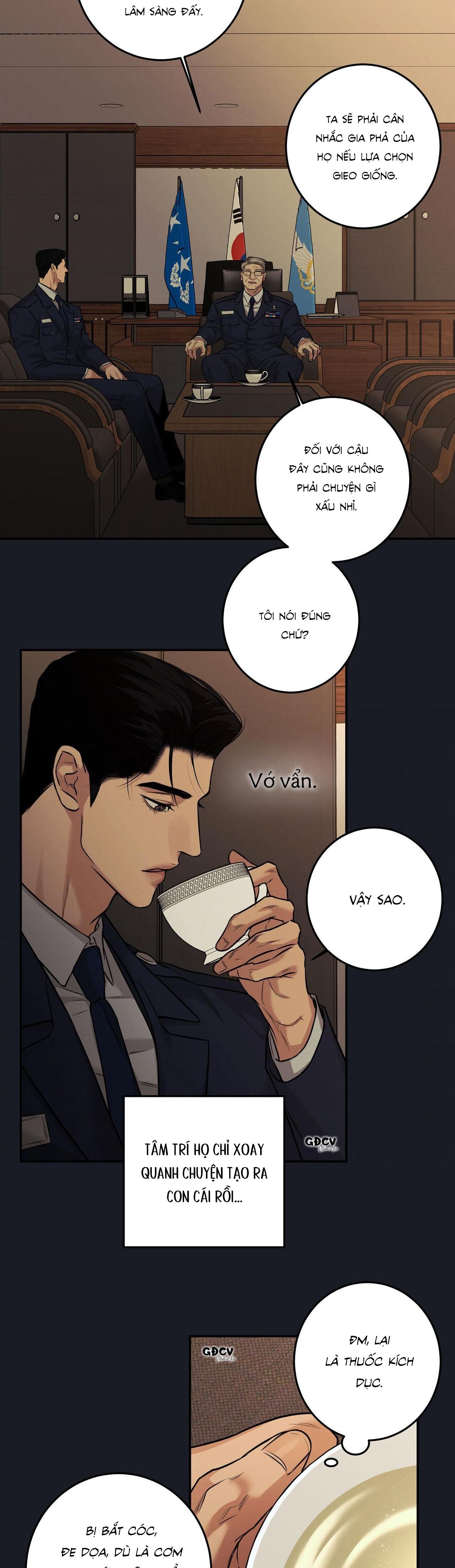 Trang 19
