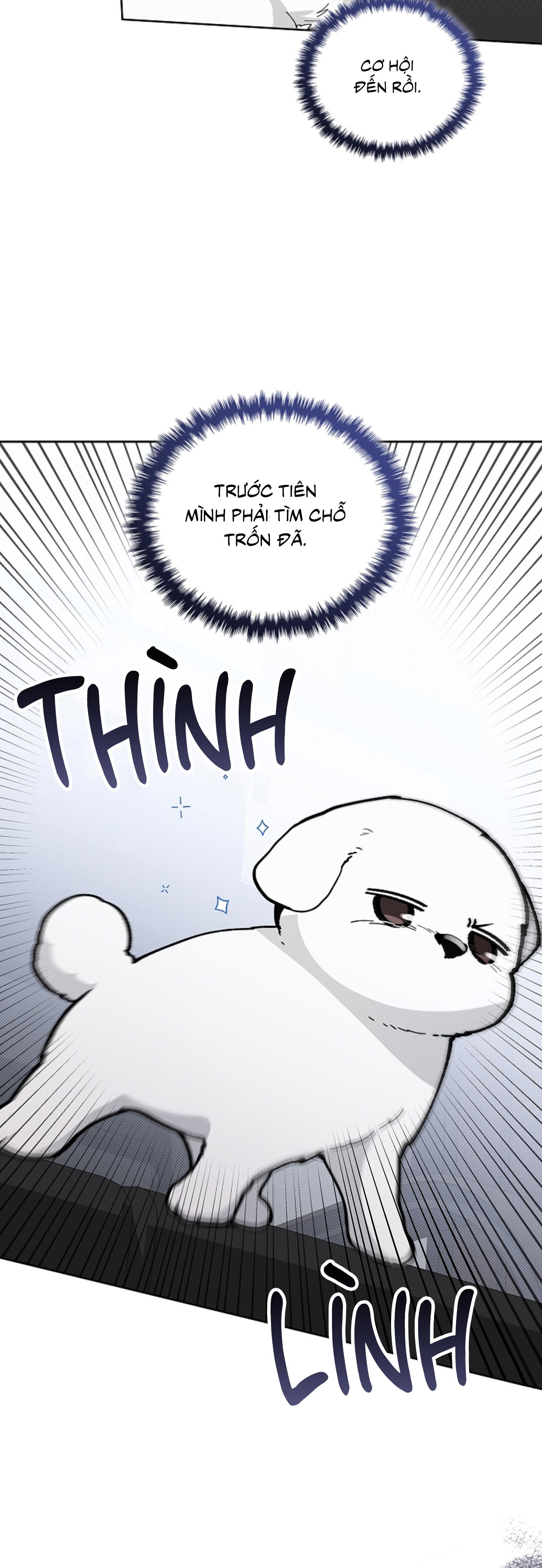 Trang 36