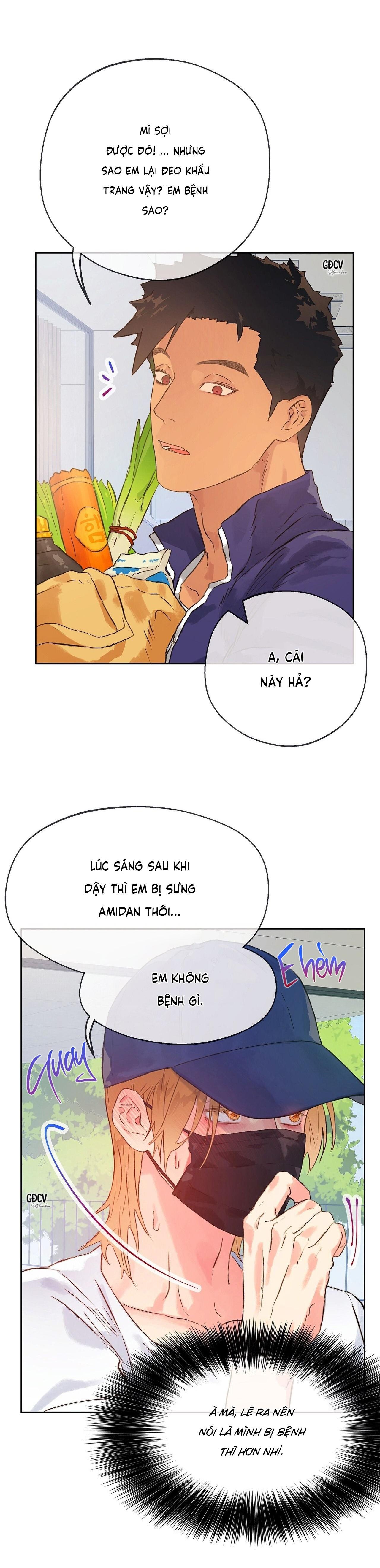 Trang 24