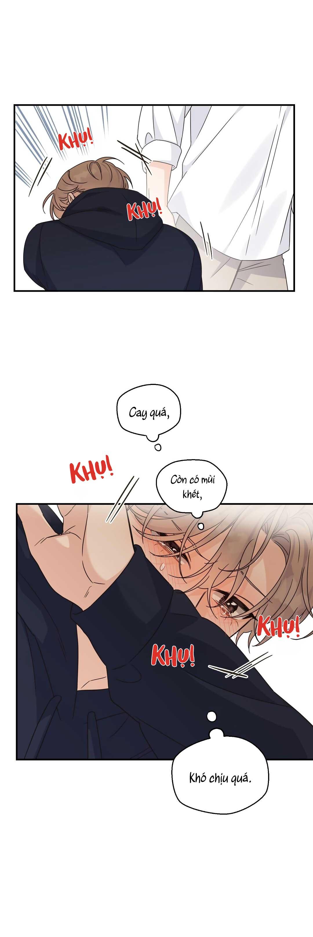 Trang 31