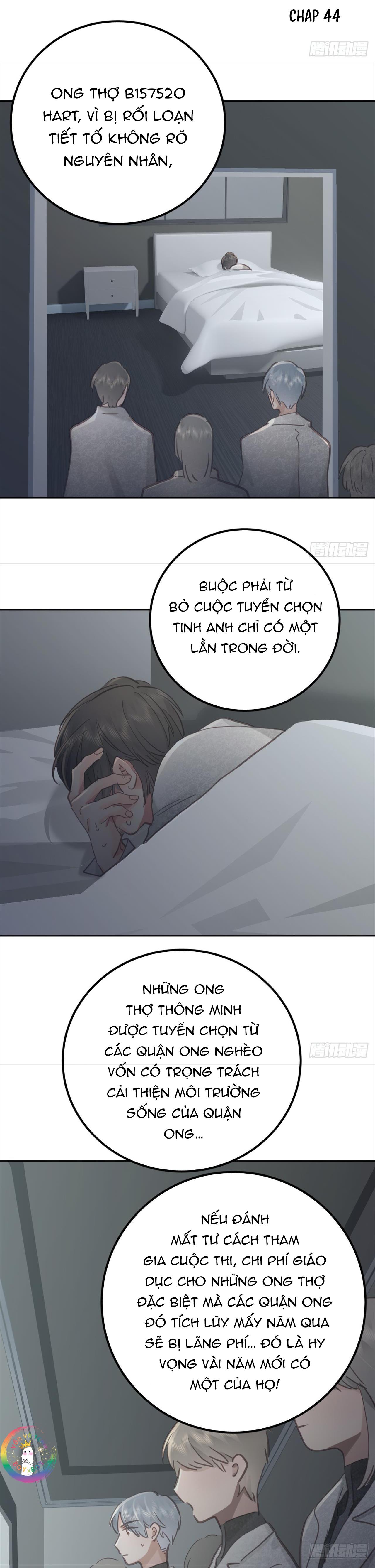 Trang 16