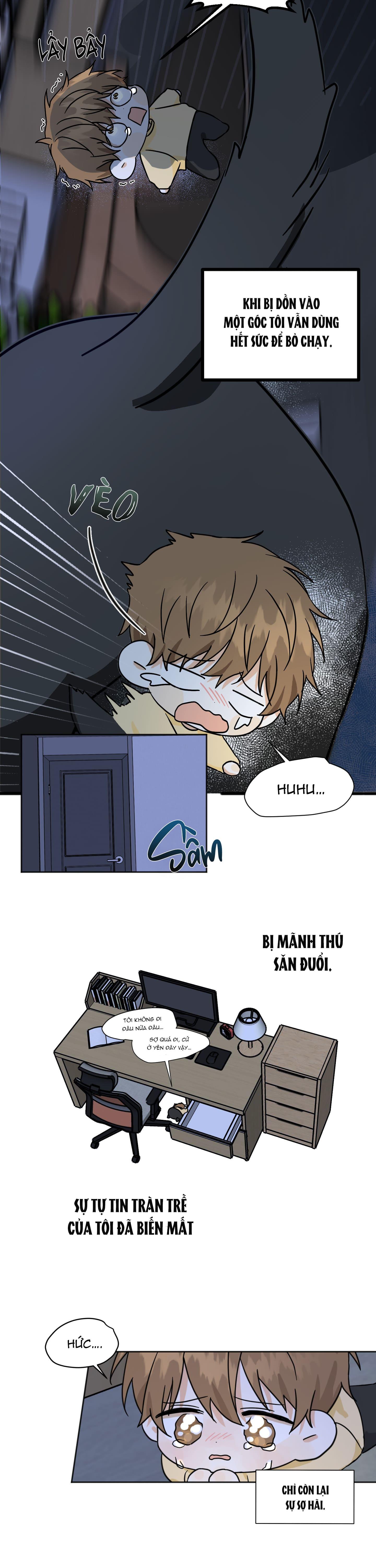 Trang 19