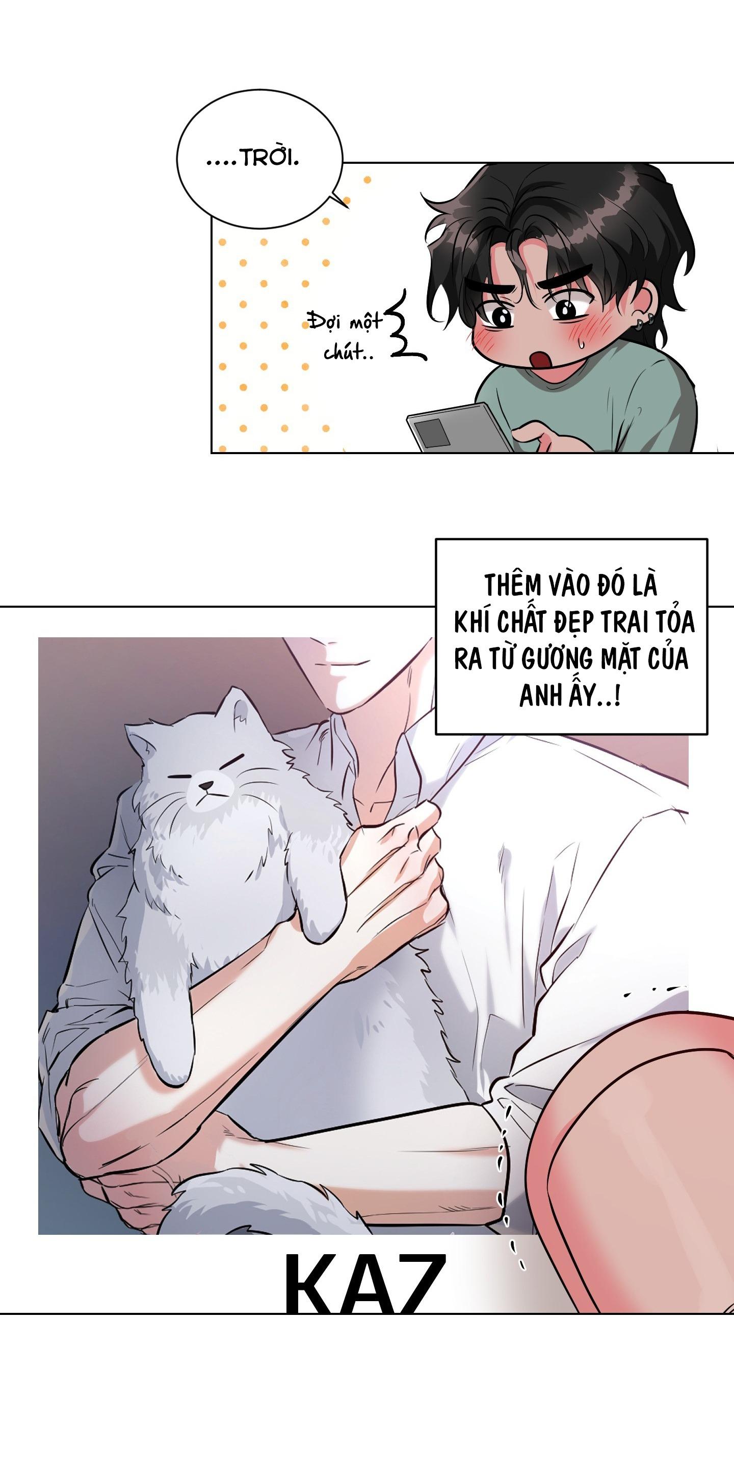 Trang 51