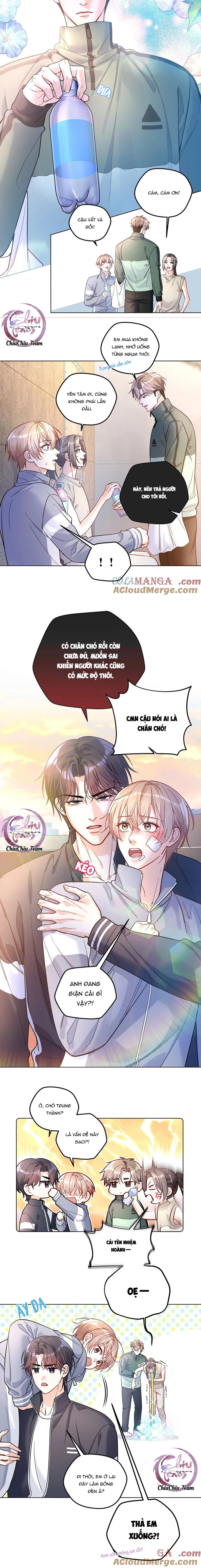 Trang 5