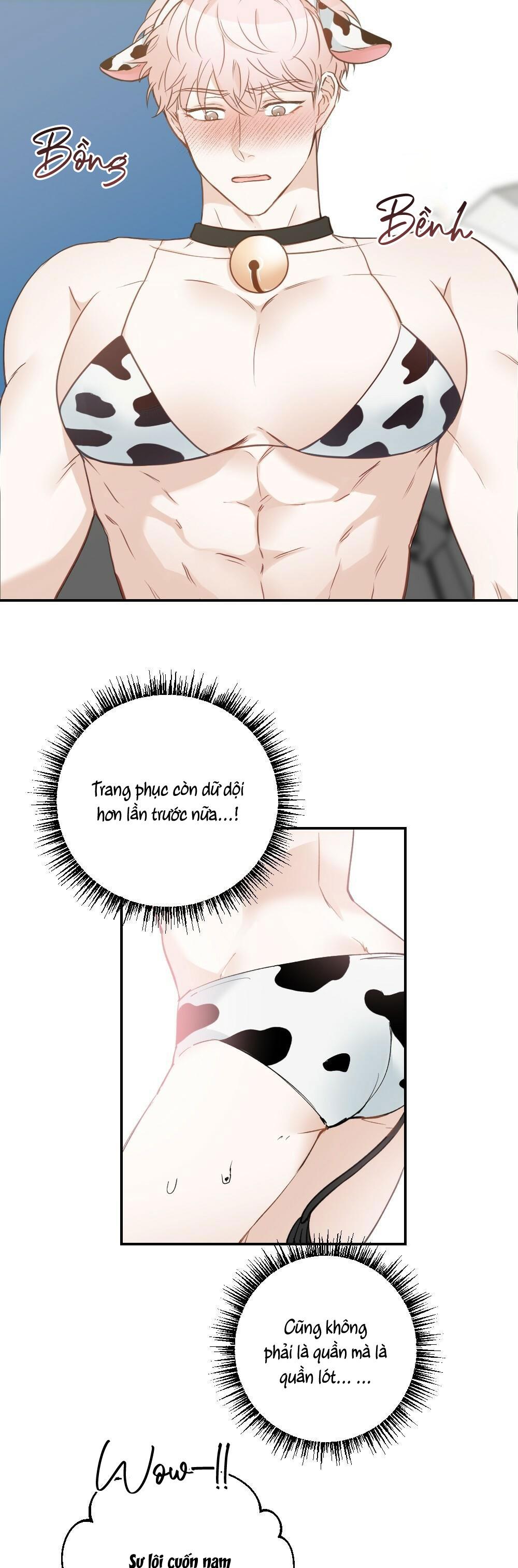 Trang 12