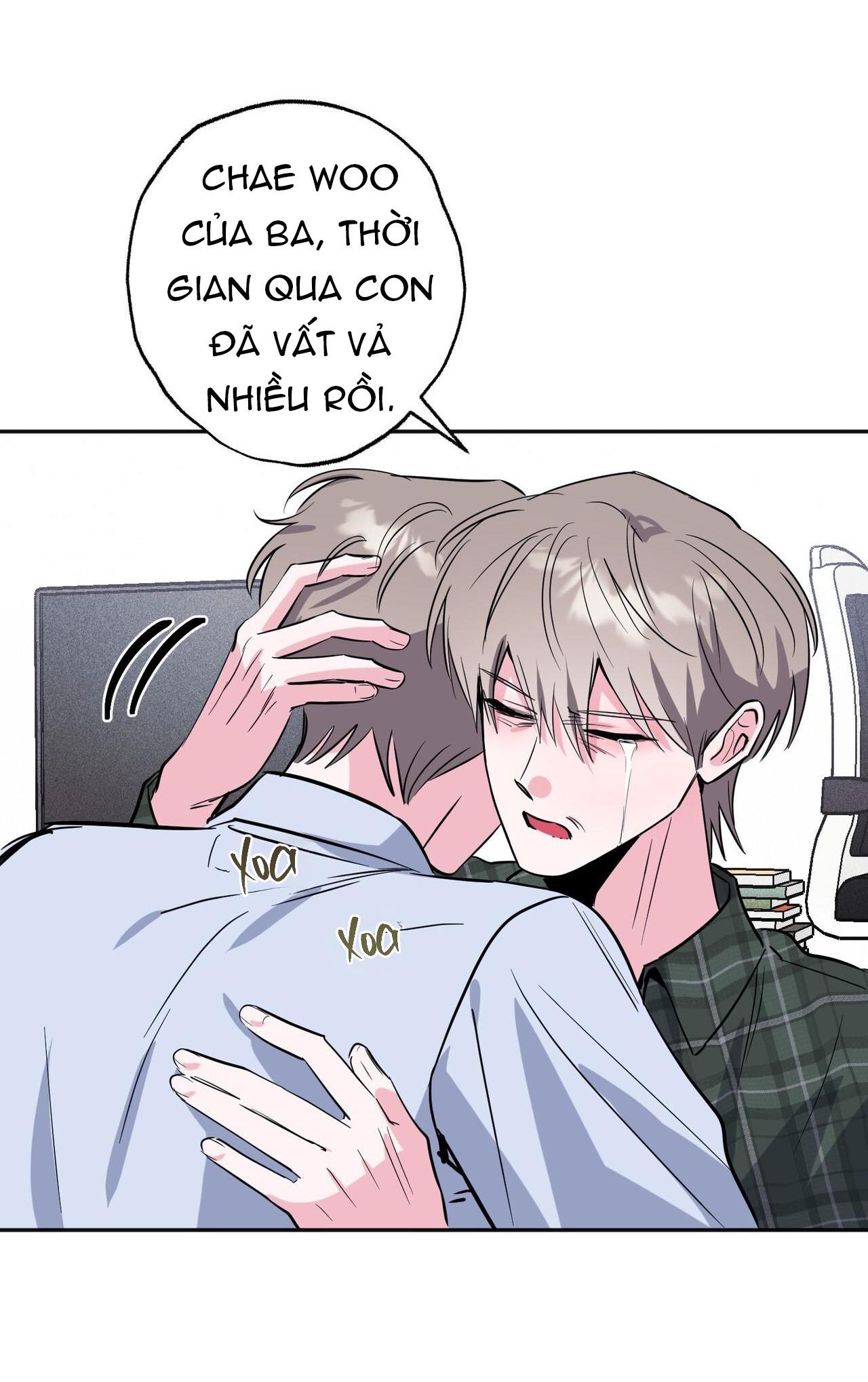 Trang 24