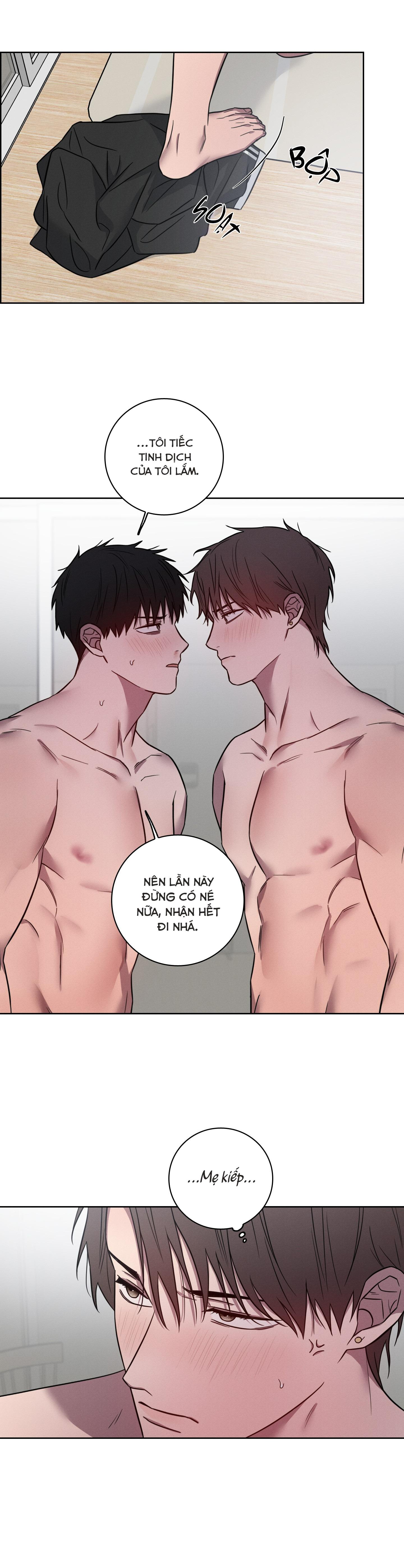 Trang 15