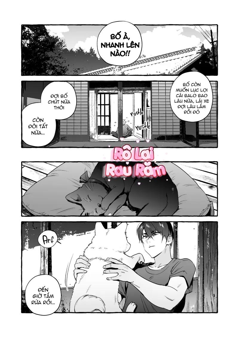 Trang 17