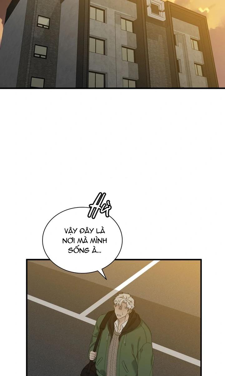 Trang 39
