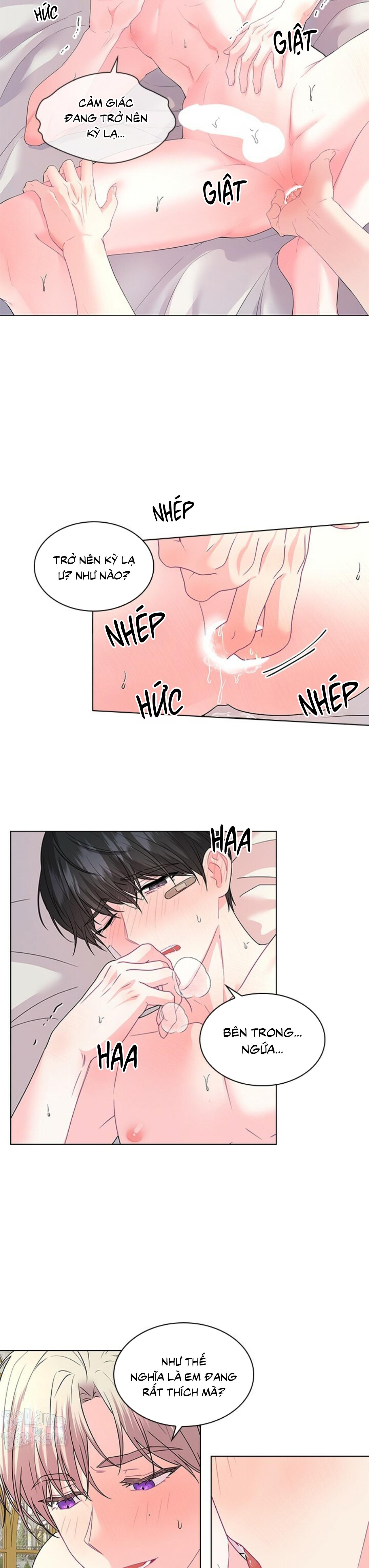 Trang 5