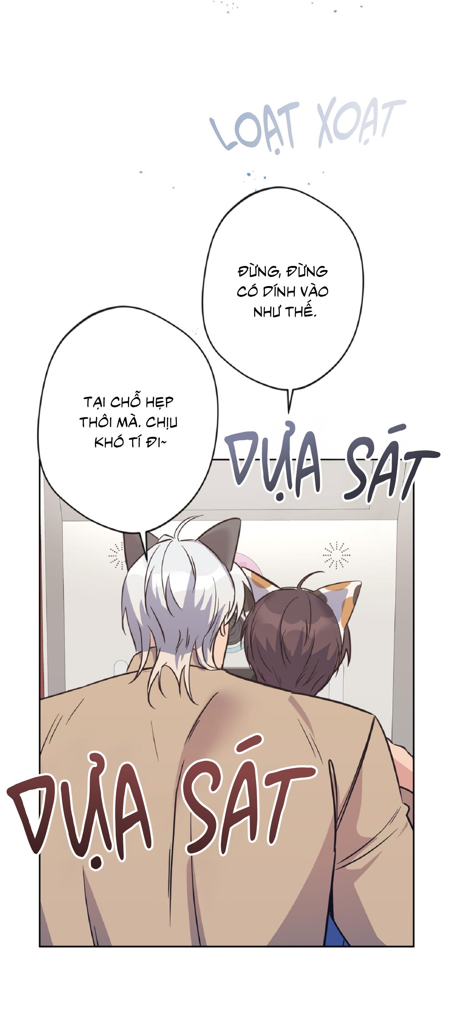Trang 51