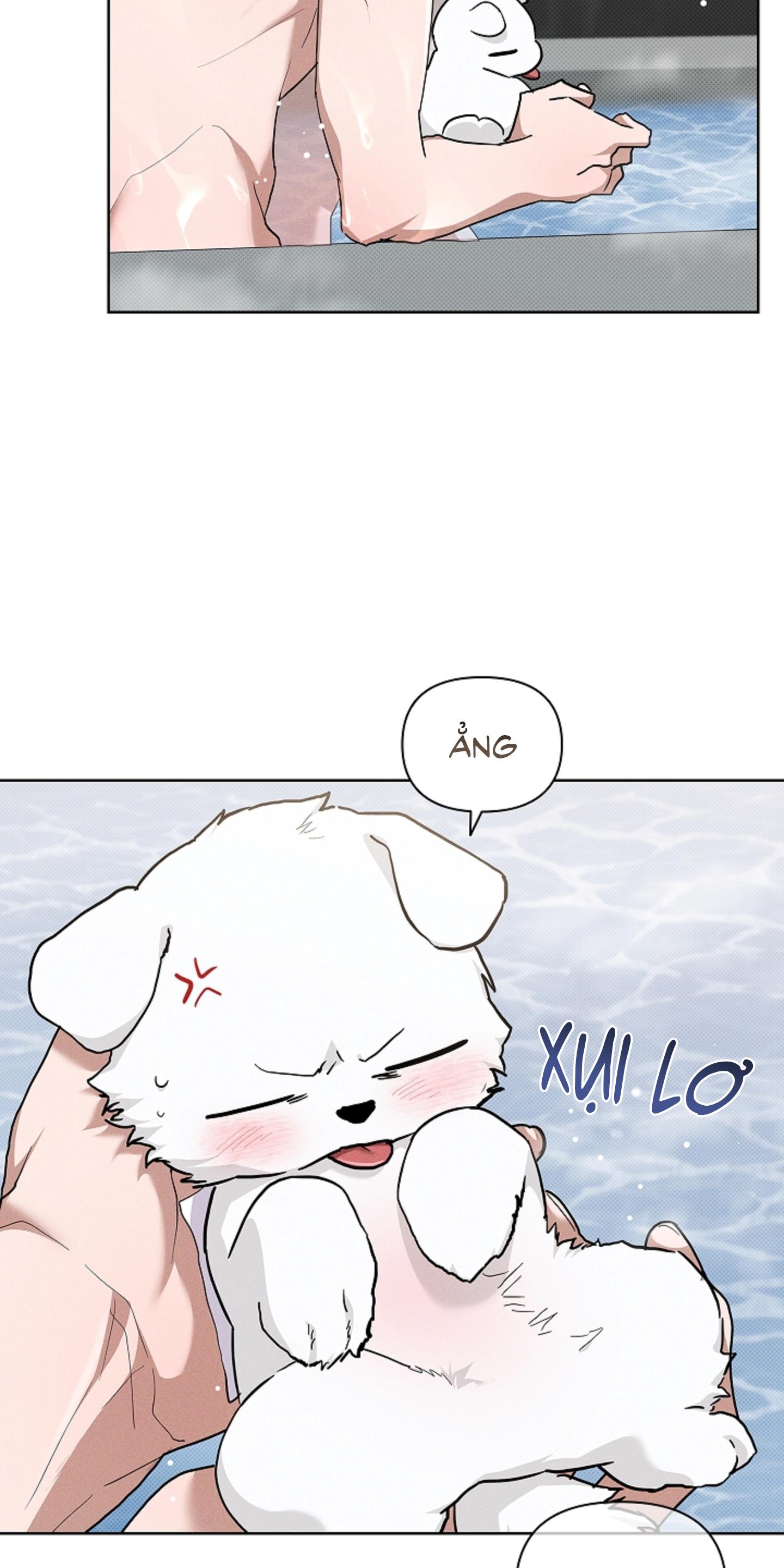 Trang 47