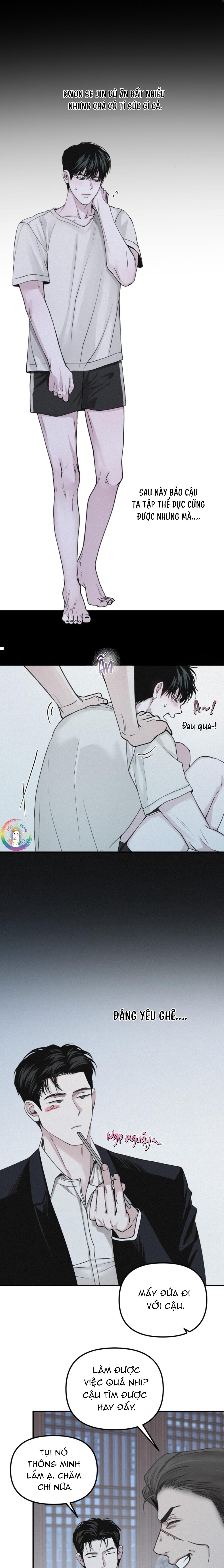Trang 8