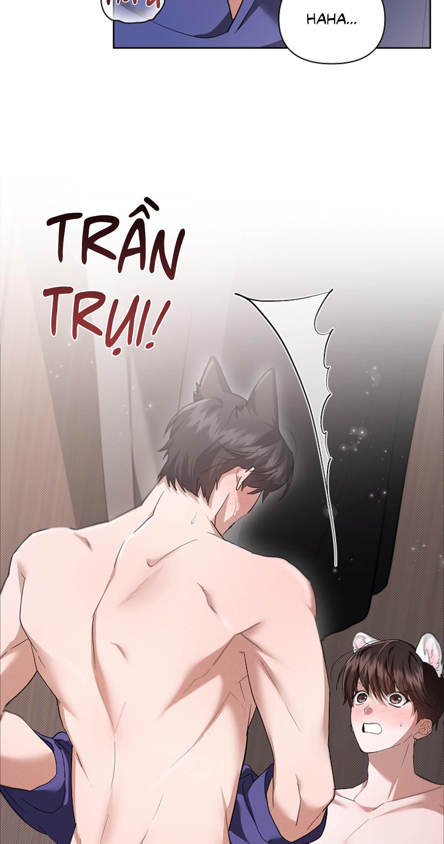 Trang 14