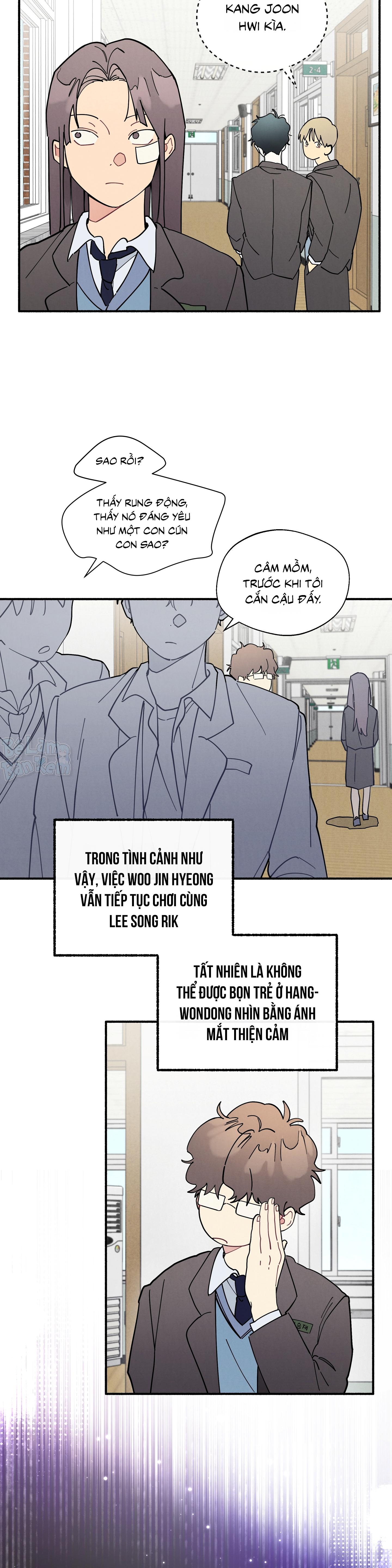 Trang 15
