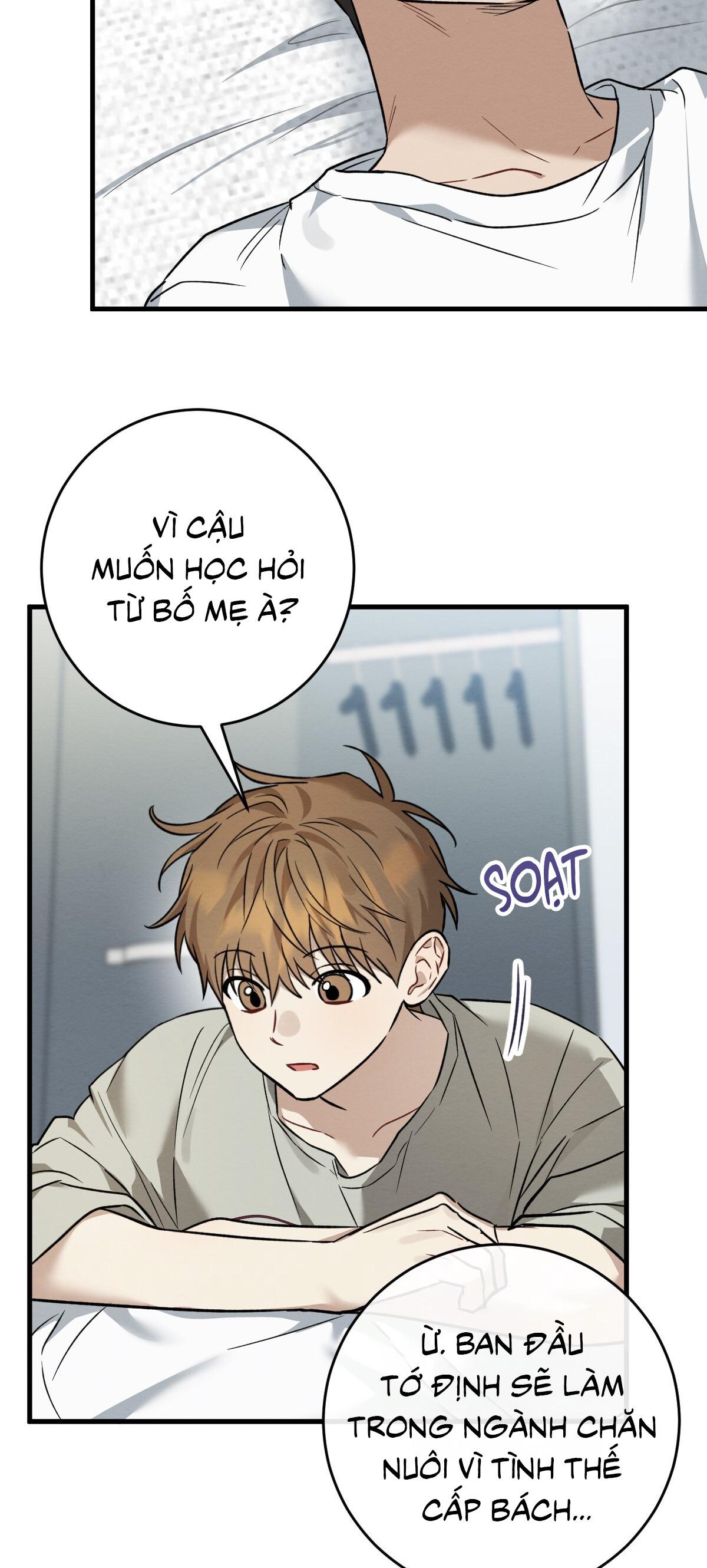 Trang 48