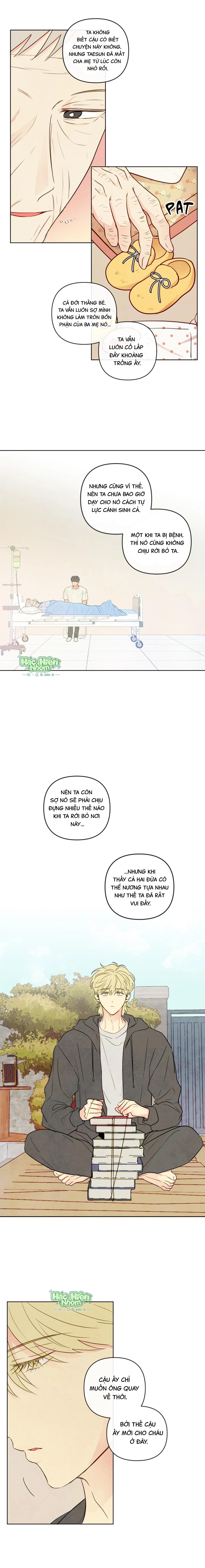 Trang 13