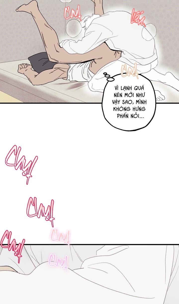 Trang 36