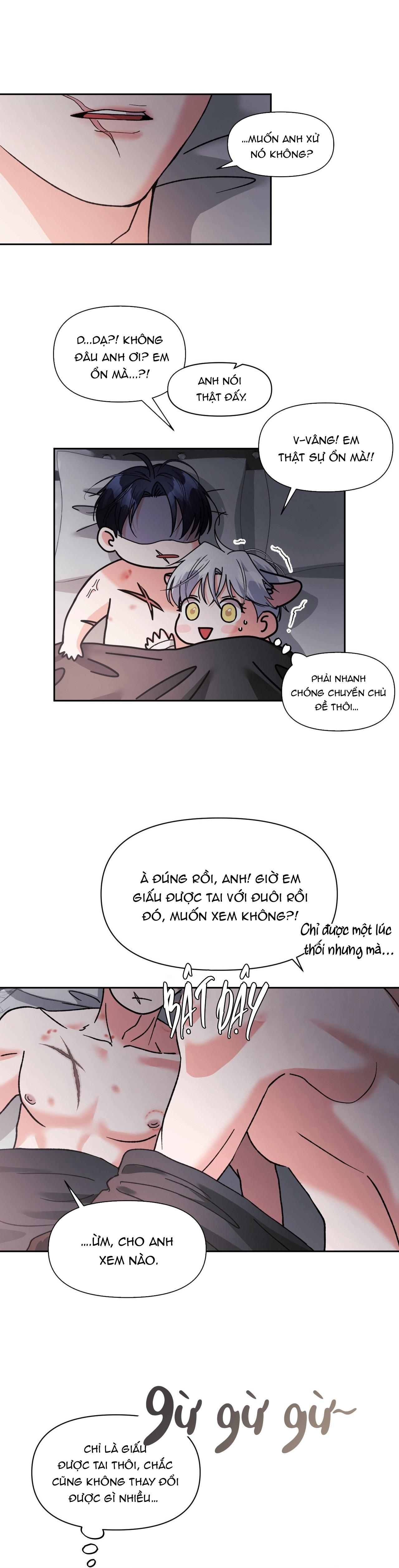 Trang 25