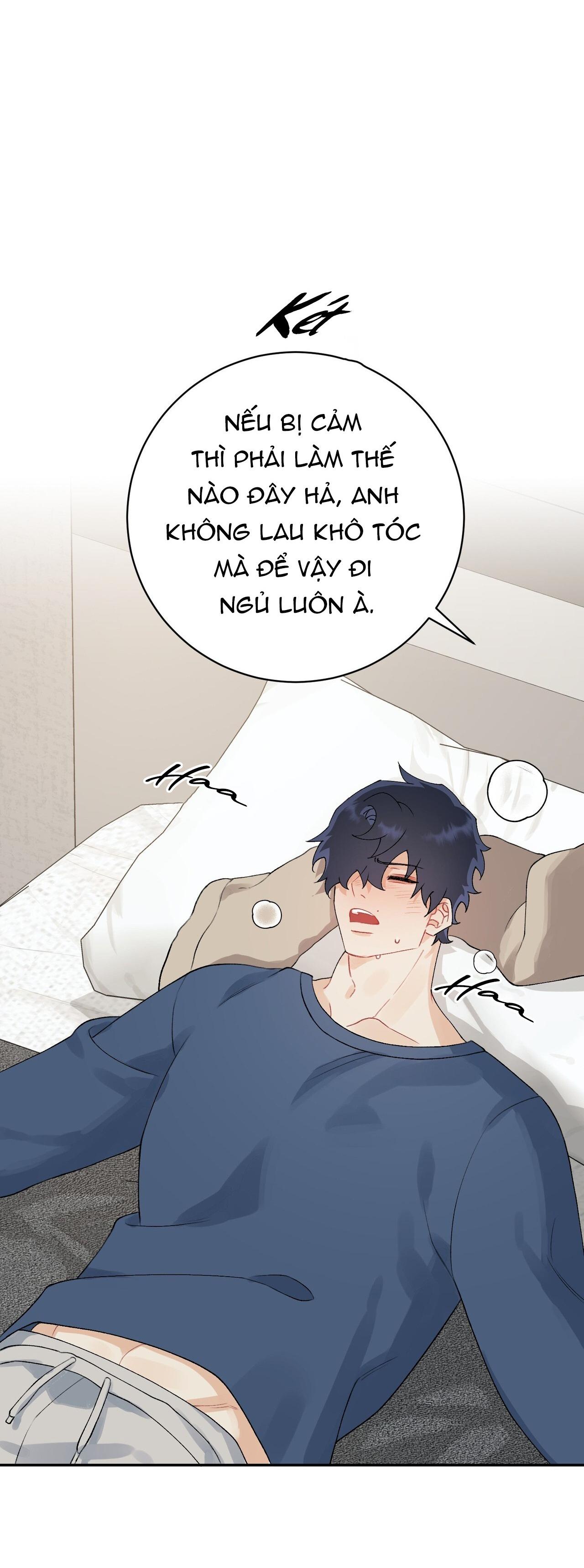 Trang 31