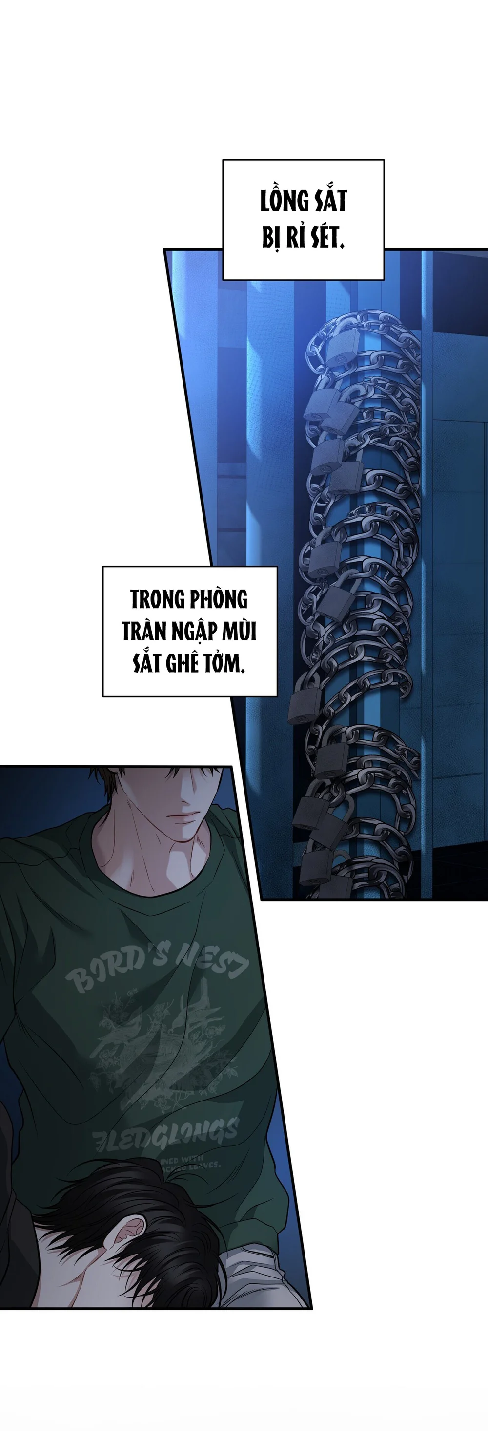 Trang 13