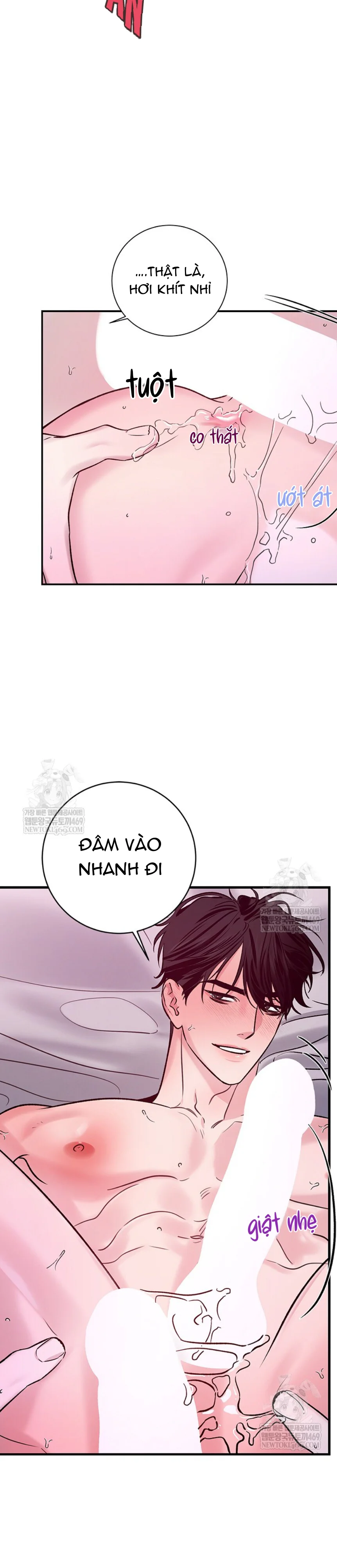 Trang 24