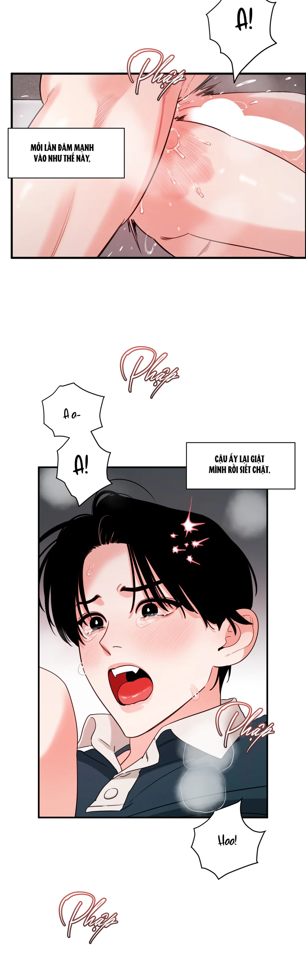 Trang 19
