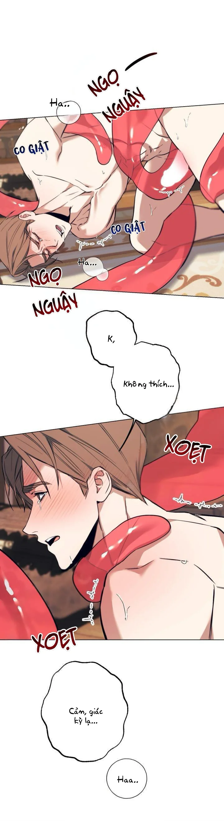 Trang 15