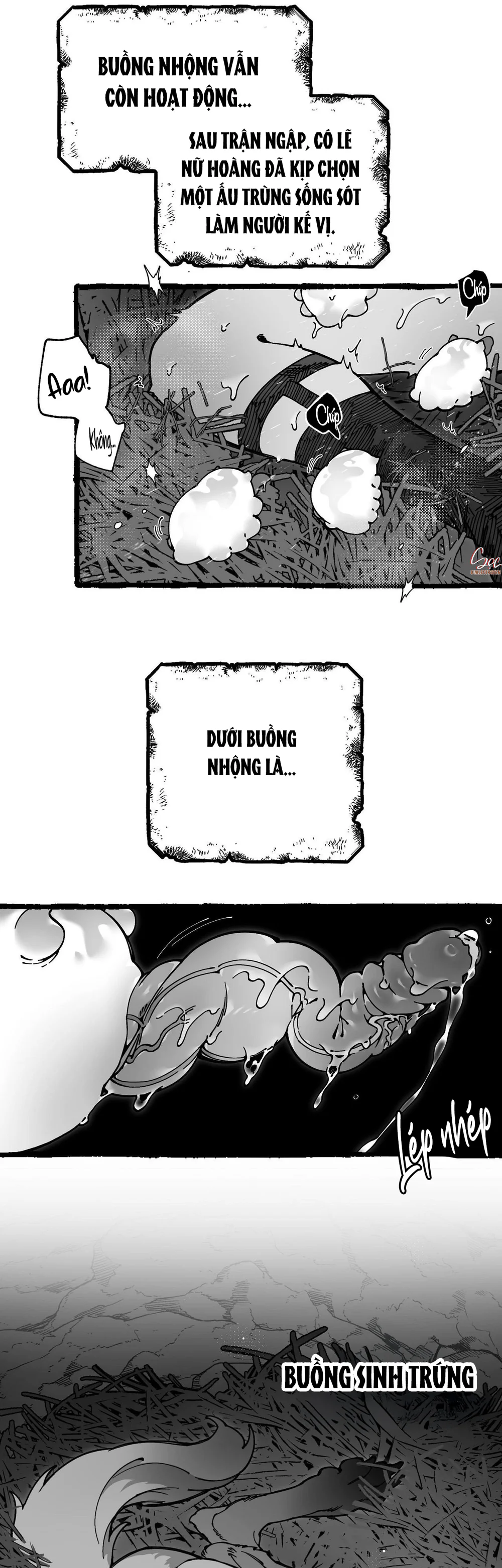 Trang 26