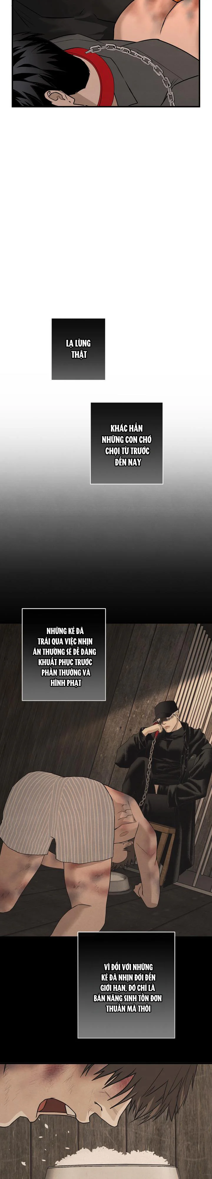 Trang 32