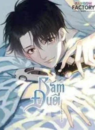 Bám Đuôi