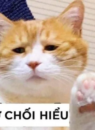 Chỉ Cần Đó Là Điều Ngài Muốn, Tôi Sẽ Làm