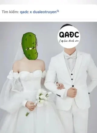 Fan art OTP QADC x Dưa Leo Truyện