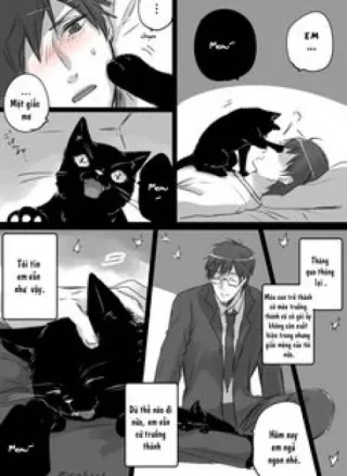 Kimi no Jinsei Zenbu wo Shiawase ni Shite Agetai Hanashi